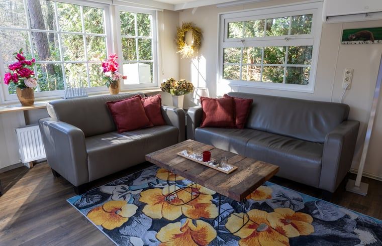 Attractive sitting area in Holiday Home in Emst, Veluwe, with colorful rug.