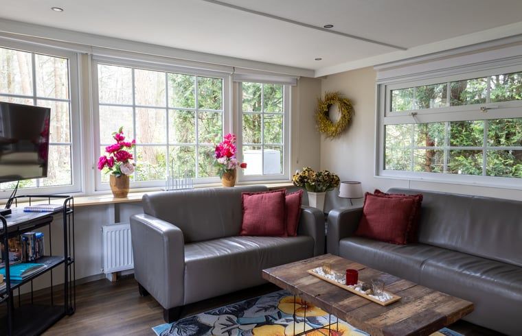 Spacious living room in Holiday Home in Emst, Veluwe, with lots of natural light.