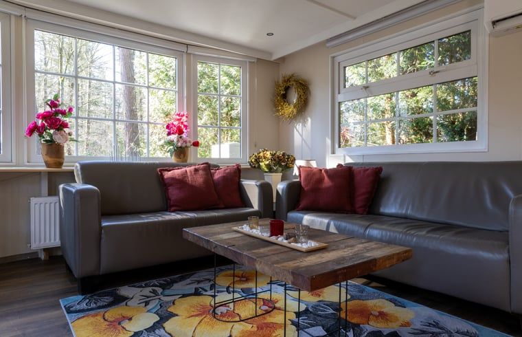 Comfortable seating area in Holiday home in Emst, Gelderland, overlooking the garden.