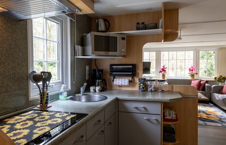Modern kitchen in Holiday home in Emst, Veluwe, with all necessary equipment.
