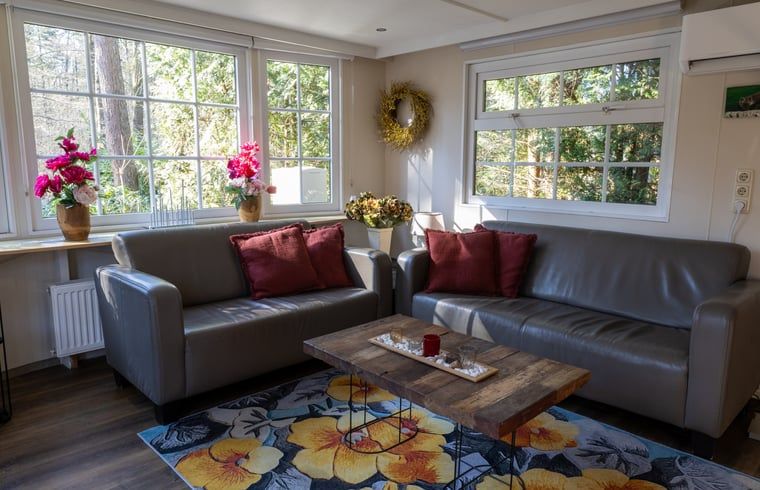 Cozy sitting area in Holiday Home in Emst, Gelderland, with decorative flowers.