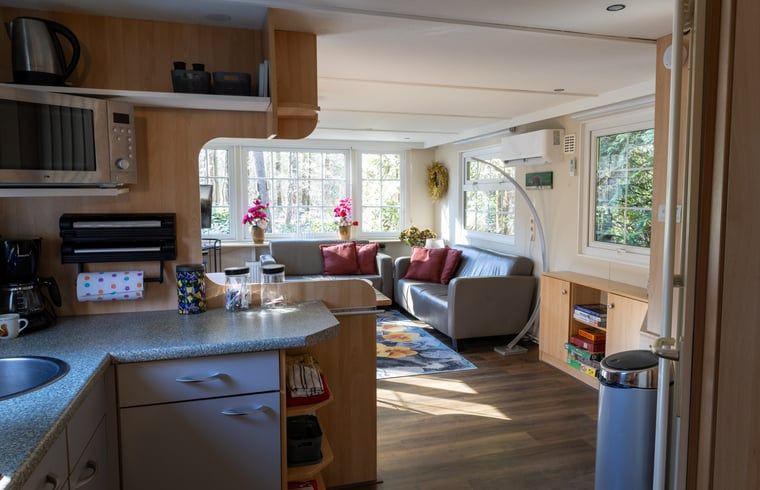 Overview of the kitchen and living room in Holiday Home in Emst, Veluwe.