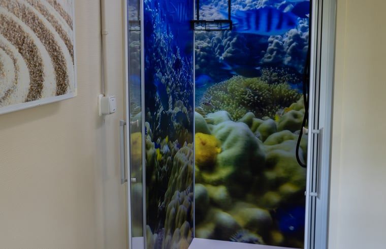 Shower with underwater theme in Holiday home in Emst, Gelderland.