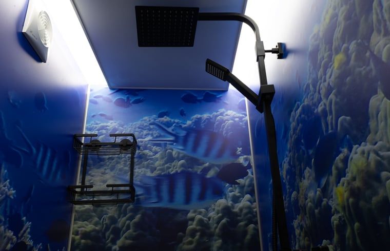 Stylish shower stall in Holiday home in Emst, Veluwe, with sea life decor.