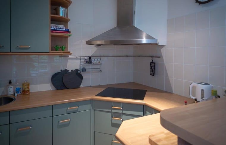 Modern kitchen in Holiday home in Emst, located in Veluwe, Gelderland, with wooden worktop and stylish extractor.