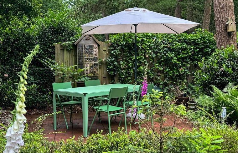 Guest house 320823 - Holiday property Veluwe - Vakantiehuis in Emst