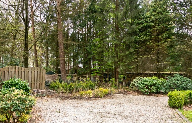 Guest house 320823 - Holiday property Veluwe - Vakantiehuis in Emst