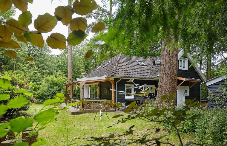 Cottage in Emst, Ferienhaus inmitten gruener Natur in Veluwe, Gelderland.