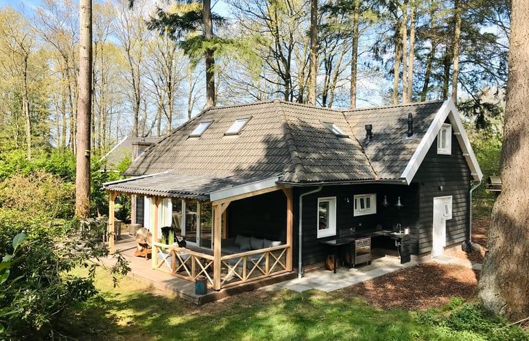 Gemuetliches Ferienhaus Cottage in Emst mit Veranda in Veluwe, Gelderland.