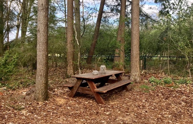 Picknicktisch im bewaldeten Garten des Ferienhauses in Emst, Veluwe, Gelderland.