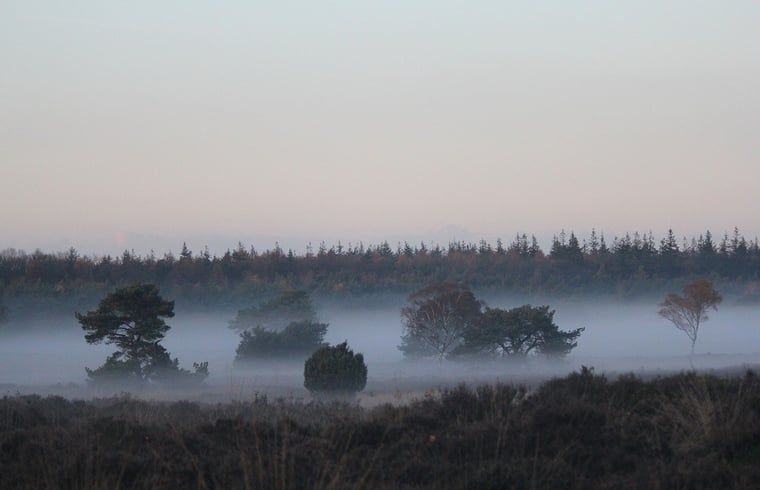 Schoener nebliger Sonnenaufgang am Ferienhaus in Emst, Veluwe, Gelderland.