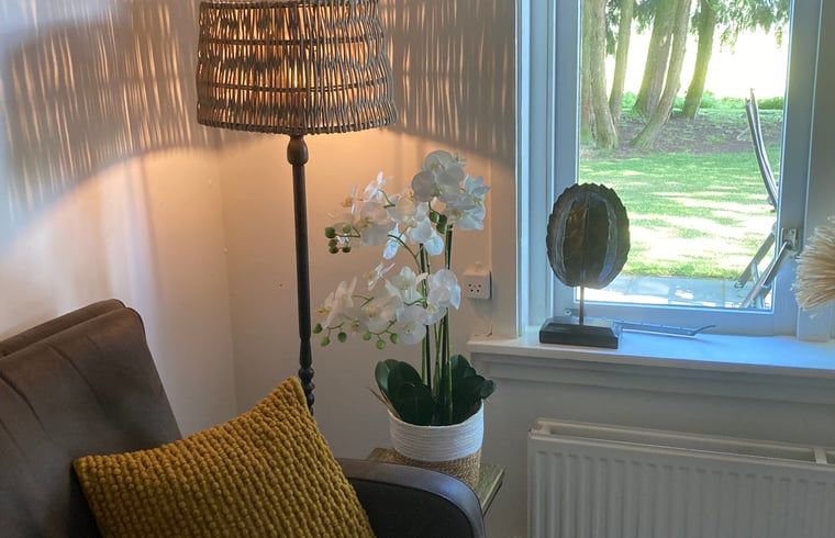 Details van de woonkamer in Vakantiehuisje in Emst, Veluwe, Gelderland.