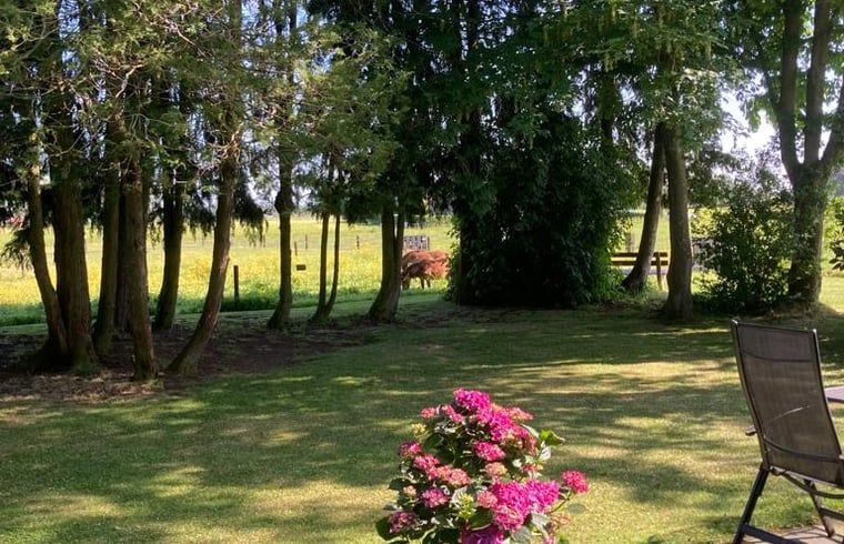 Prachtige tuin van Vakantiehuisje in Emst met bloemen en bomen, Veluwe, Gelderland.