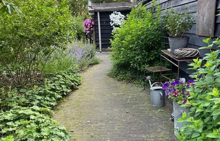 Verzorgde tuinpad in Vakantiehuisje in Emst, Veluwe, Gelderland.