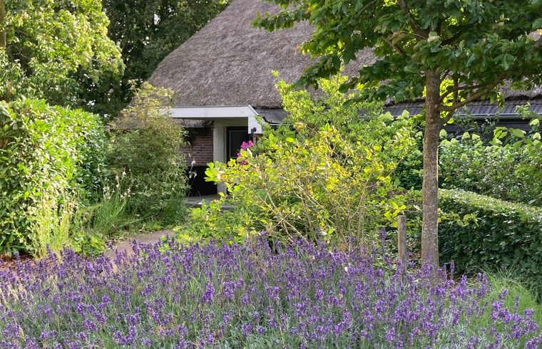 Buiten dineren op het terras van Vakantiehuisje in Emst, Veluwe, Gelderland.