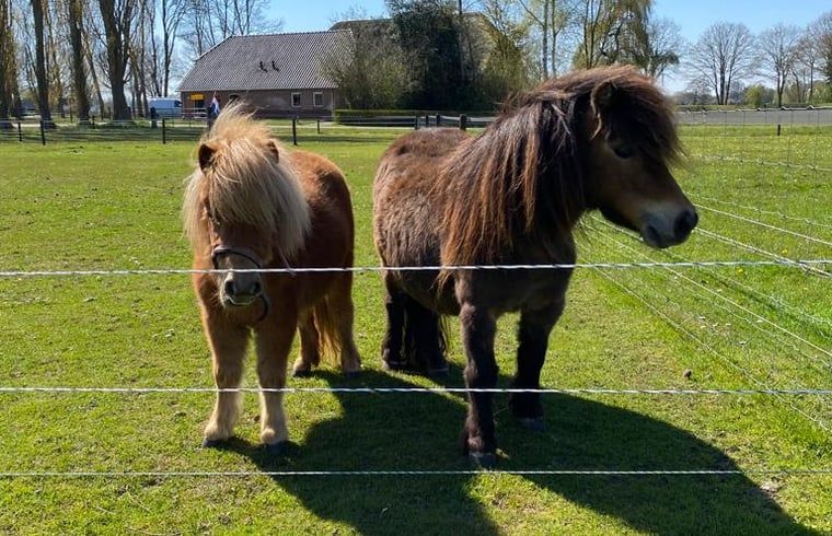 Verblijf 320851 - Vakantiewoning Veluwe - Vakantiehuisje in Emst
