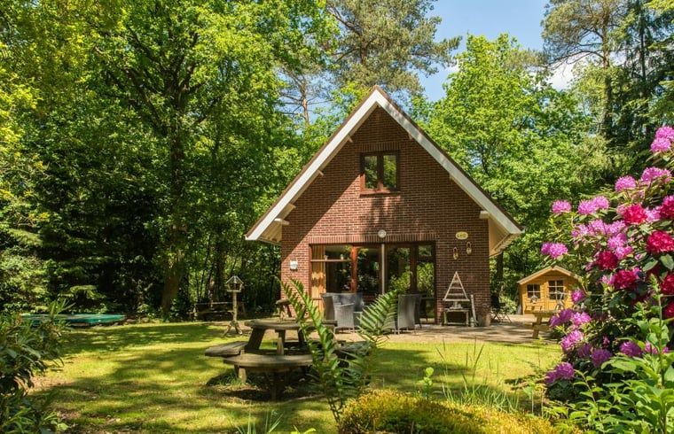 Vacation cottage in Emst in the Veluwe, surrounded by lush nature and greenery.