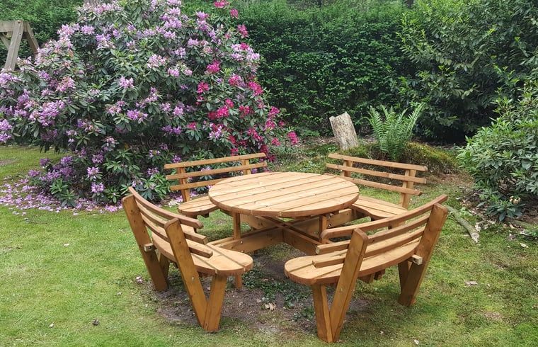 Round wooden seat in the garden of Holiday cottage in Emst, Veluwe, surrounded by flowers.