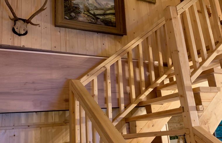 Unterkunft 320878 - Ferienhaus Veluwe - Vakantiehuisje in Emst