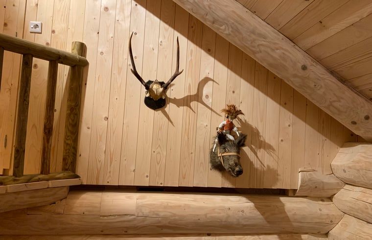 Unterkunft 320878 - Ferienhaus Veluwe - Vakantiehuisje in Emst