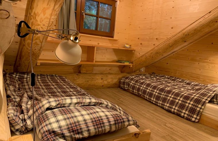 Unterkunft 320878 - Ferienhaus Veluwe - Vakantiehuisje in Emst