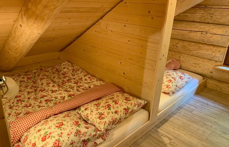 Unterkunft 320878 - Ferienhaus Veluwe - Vakantiehuisje in Emst