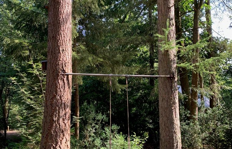 Unterkunft 320878 - Ferienhaus Veluwe - Vakantiehuisje in Emst