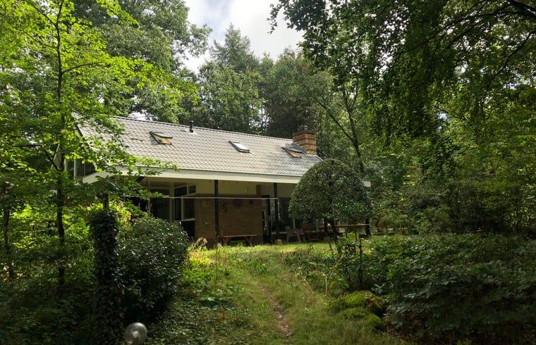 Ferienhaus in Emst, Veluwe, Gelderland, umgeben von ueppiger Natur und gruenen Waeldern, ideal fuer einen erholsamen Aufenthalt.