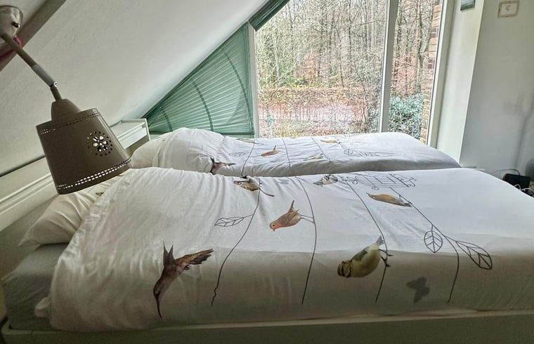 Unterkunft 320882 - Ferienhaus Veluwe - Vakantiehuis in Emst