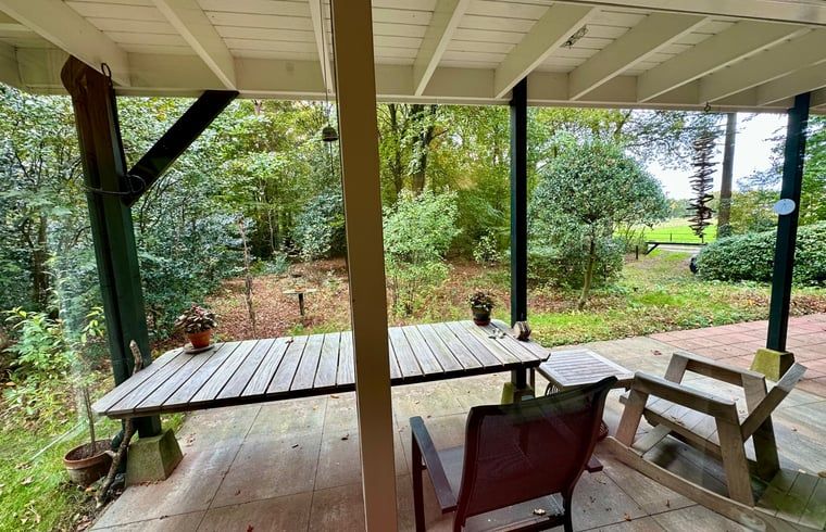 Unterkunft 320882 - Ferienhaus Veluwe - Vakantiehuis in Emst