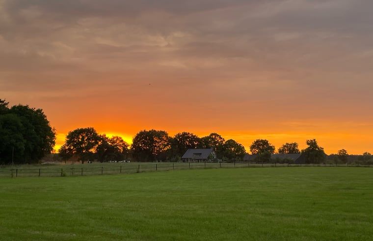 Unterkunft 320882 - Ferienhaus Veluwe - Vakantiehuis in Emst