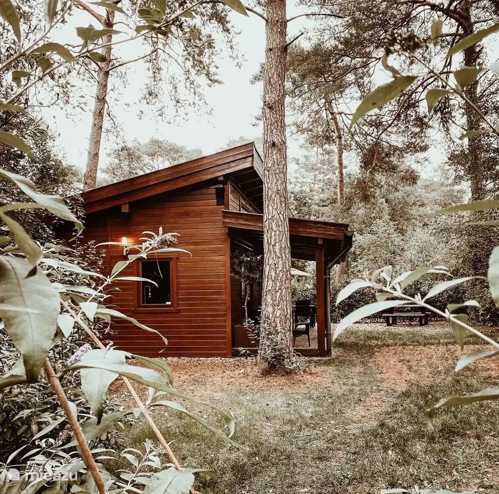 Verblijf 320884 - Vakantiewoning Veluwe - Boshuisje de Tjiftjaf