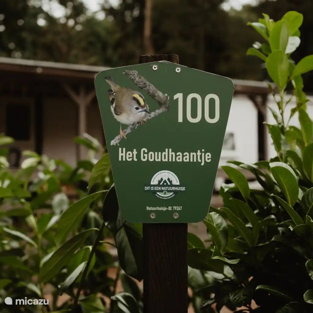 Verblijf 320890 - Chalet Veluwe - Het Goudhaantje Emst