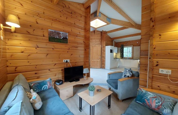 Moderne woonkamer van Huisje in Ermelo met comfortabele meubels en een uitnodigende sfeer.