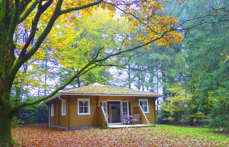 Verblijf 3209102 - Vakantiewoning Veluwe - Huisje in Ermelo