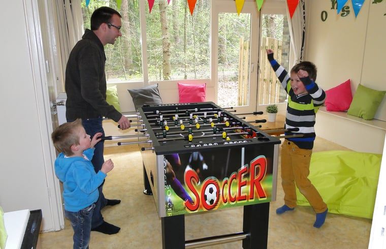 Verblijf 3209102 - Vakantiewoning Veluwe - Huisje in Ermelo