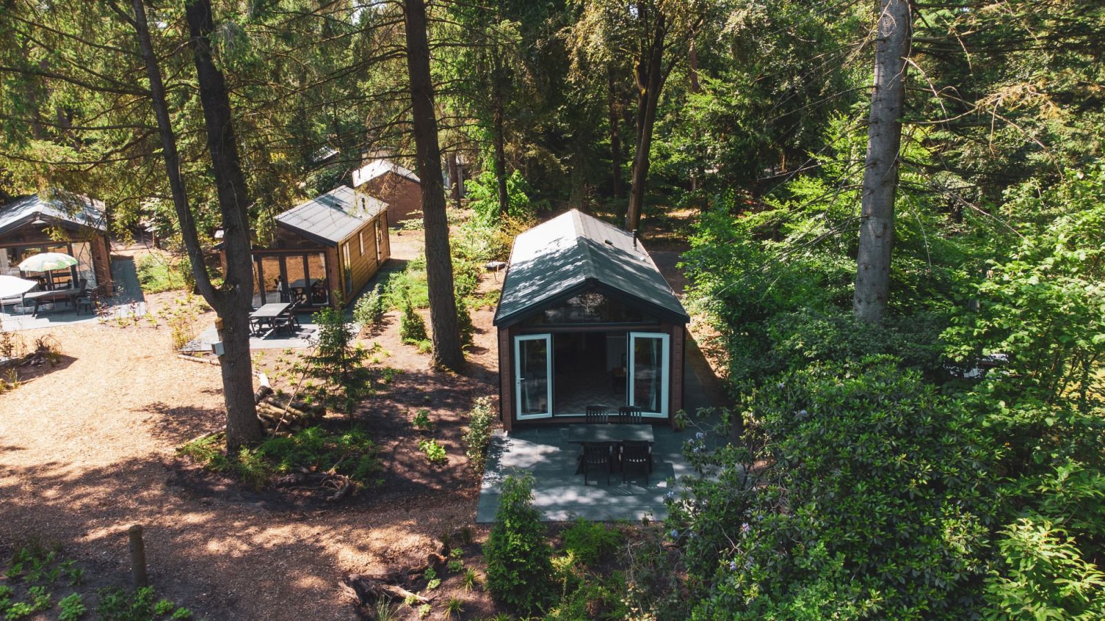 Unterkunft 3209108 - Ferienhaus Veluwe - Forest Cottage