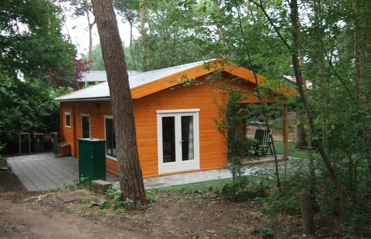 Aussenansicht des Ferienhauses in Ermelo, Veluwe, umgeben von einem Waldgebiet.
