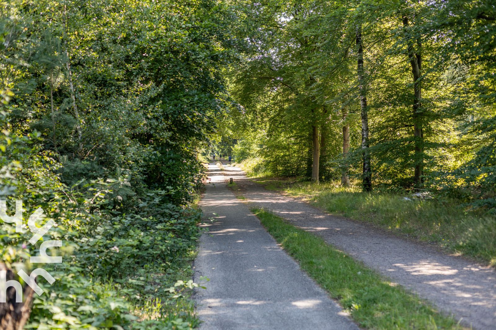 Ingang van vakantiehuis DG1560 in Ermelo, Veluwe, Gelderland, omgeven door groene hagen en schaduwrijke bomen.