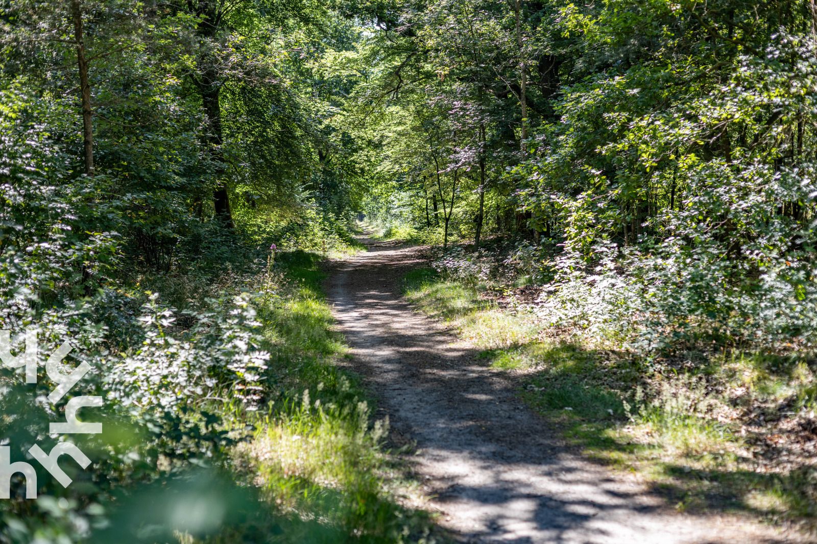 Verblijf 3209118 - Vakantiewoning Veluwe - DG1560