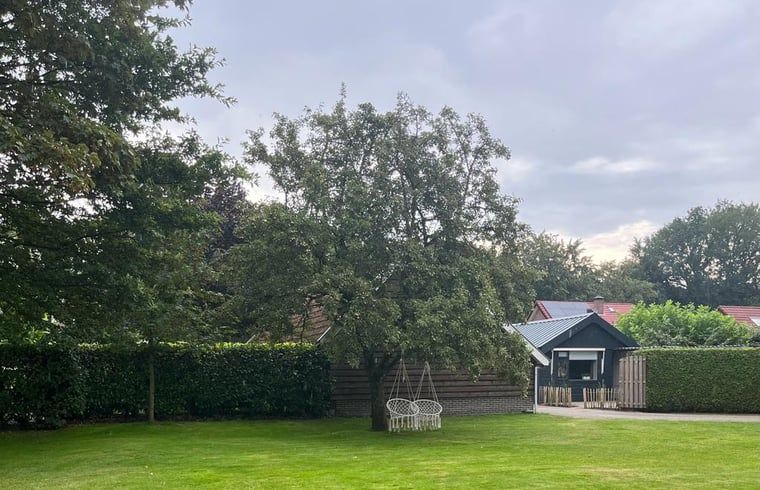 Ruim grasveld bij Vakantiehuisje in Ermelo, Veluwe, Gelderland, omringd door bomen en natuur voor een ontspannen verblijf.