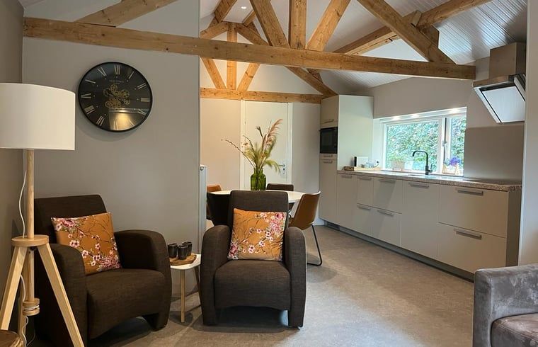 Moderne keuken in het Vakantiehuisje in Ermelo, Veluwe, Gelderland met houten balken en uitzicht op de groene tuin.