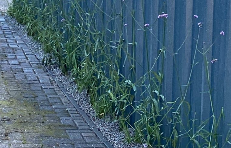 Verblijf 3209119 - Vakantiewoning Veluwe - Vakantiehuisje in Ermelo