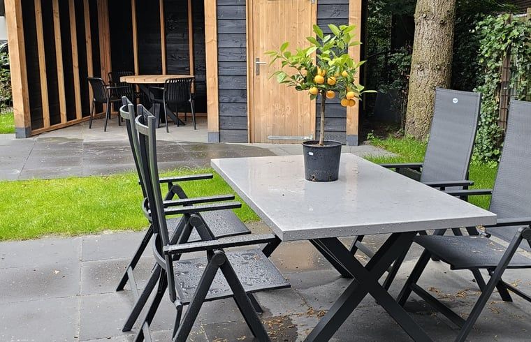 Geniessen Sie den ruhigen Garten mit Terrasse im Ferienhaus in Ermelo, Veluwe, Gelderland. Perfekt fuer einen erholsamen Aufenthalt in der Natur.