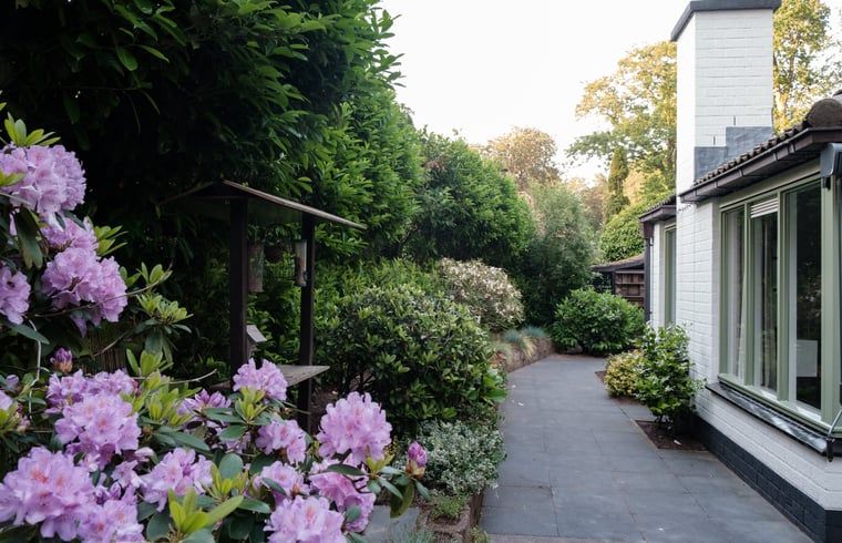 Guest house 3209137 - Holiday property Veluwe - Huisje in Ermelo