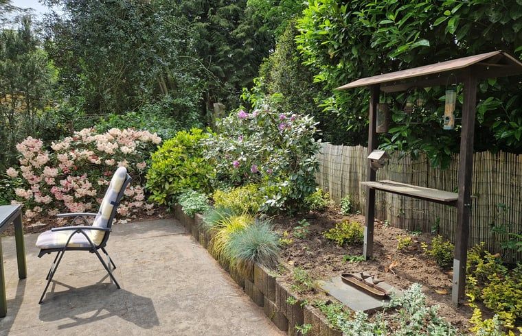 Guest house 3209137 - Holiday property Veluwe - Huisje in Ermelo