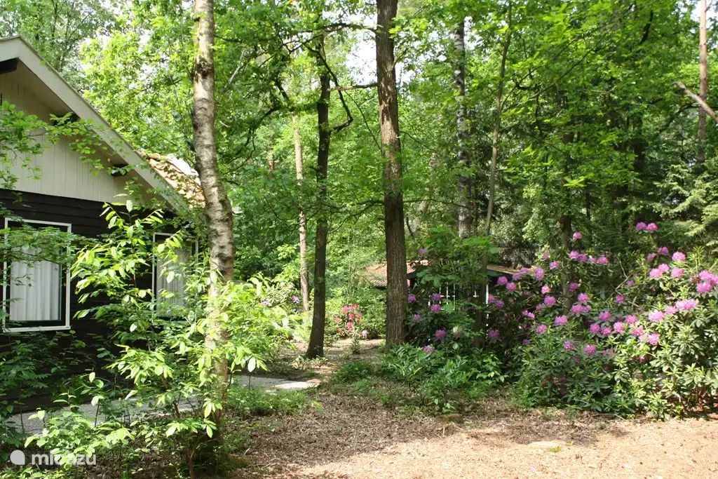 Verblijf 3209154 - Vakantiewoning Veluwe - De Hazelaar, huis nr. 128