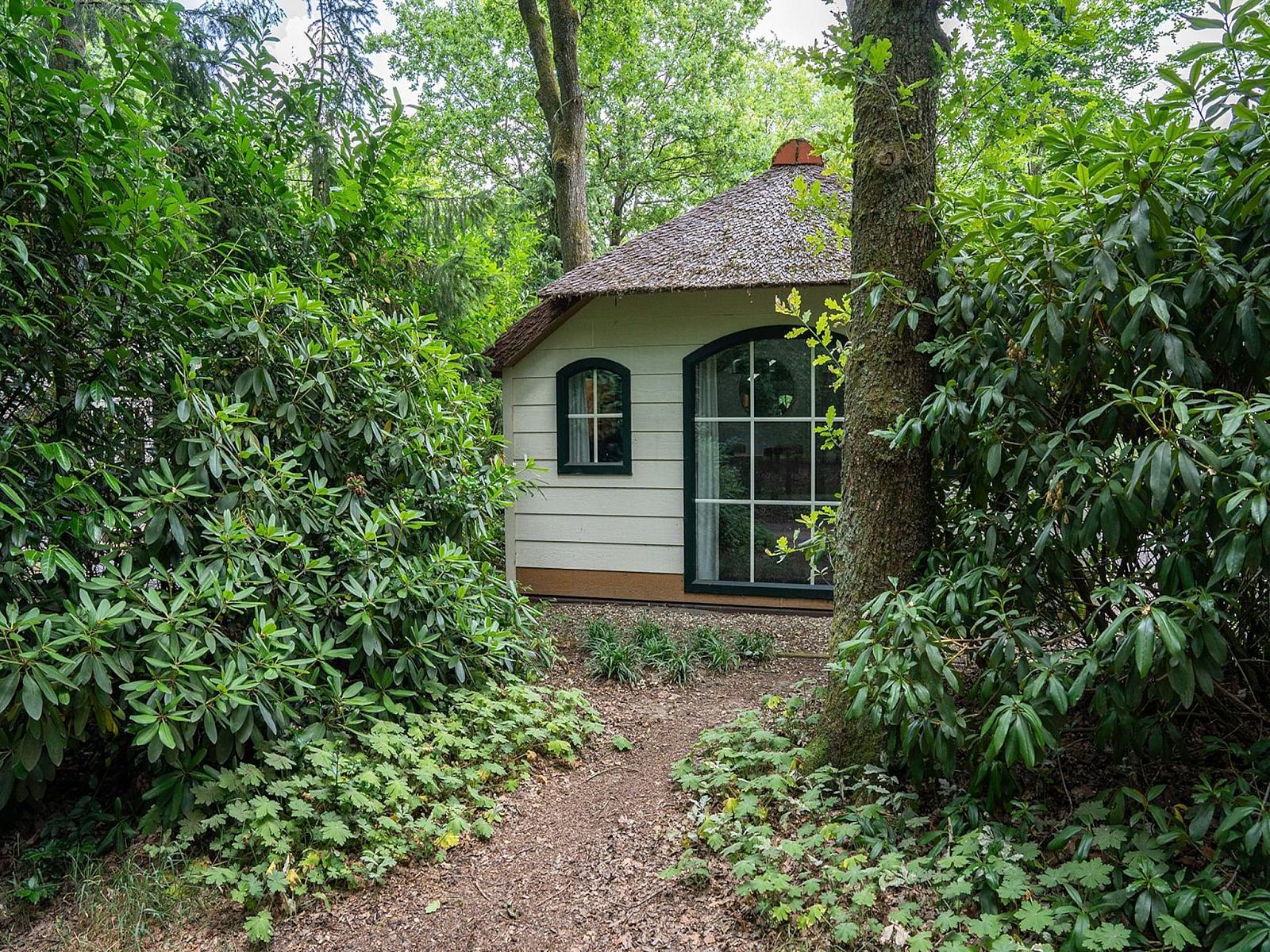 Guest house 3209162 - Holiday property Veluwe - Heivlinder 4p