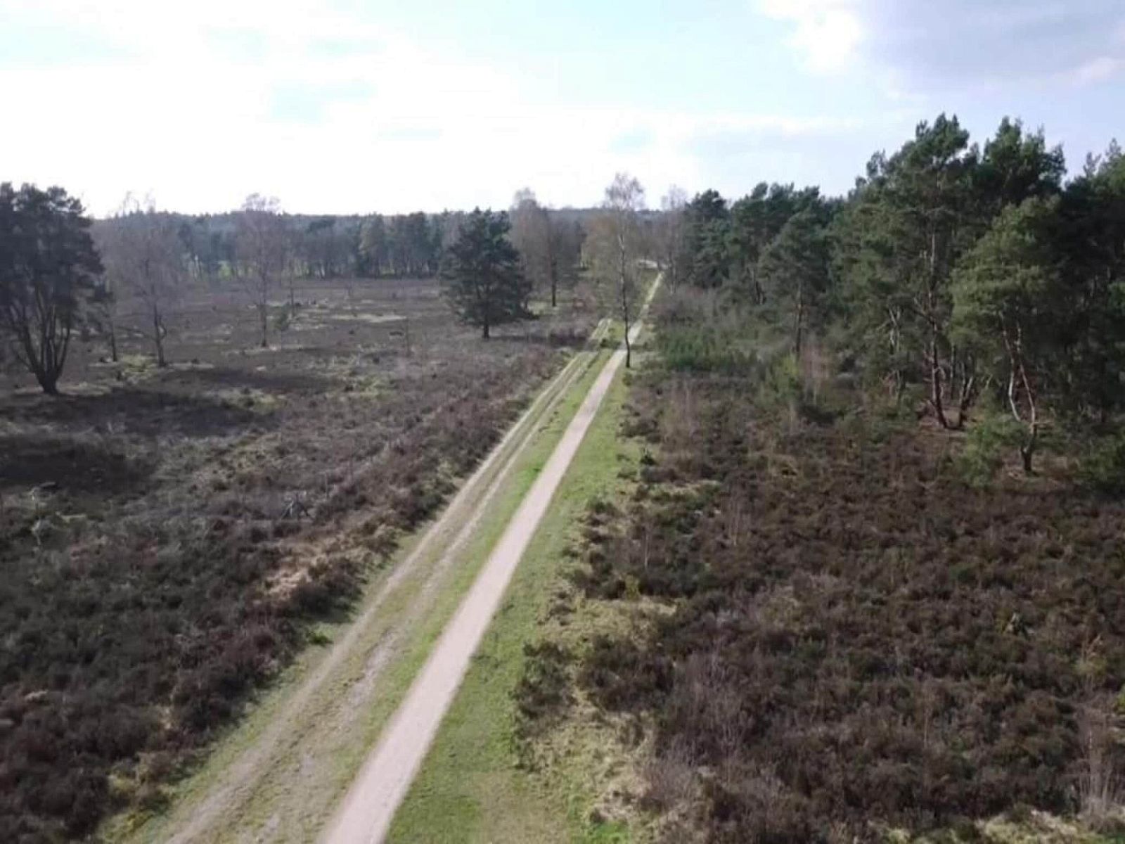 Guest house 3209162 - Holiday property Veluwe - Heivlinder 4p