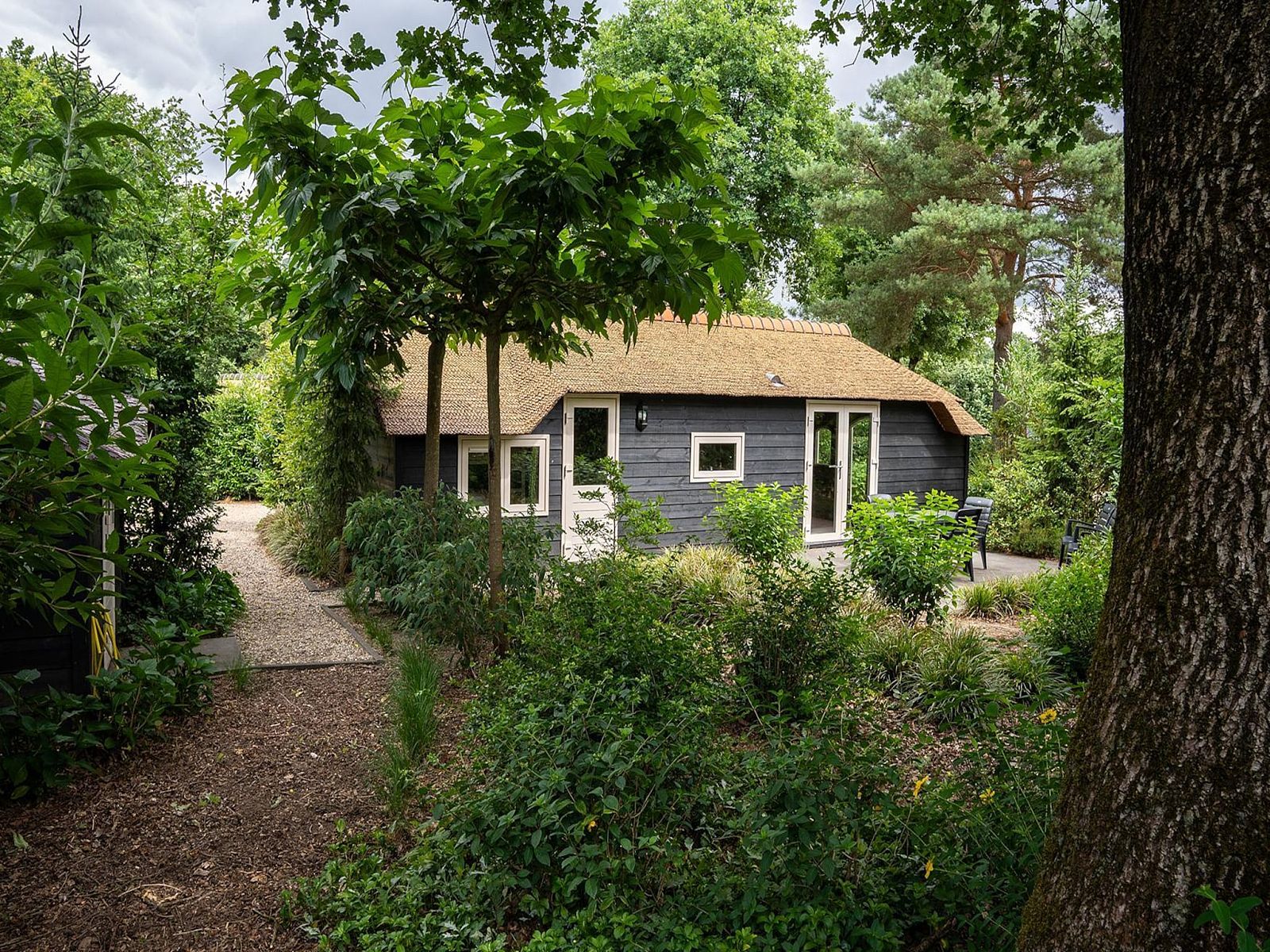 Verblijf 3209163 - Vakantiewoning Veluwe - Heivlinder 4+2p